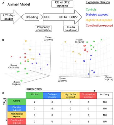 Maternal High Fat Diet and Diabetes Disrupts Transcriptomic Pathways That Regulate Cardiac Metabolism and Cell Fate in Newborn Rat Hearts